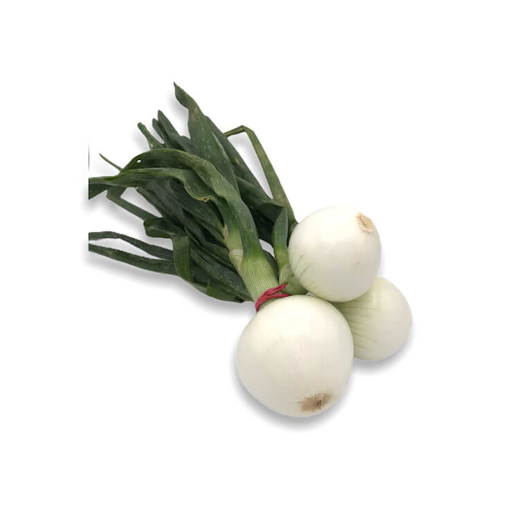 Comprar Cebolleta online en Mercado 13