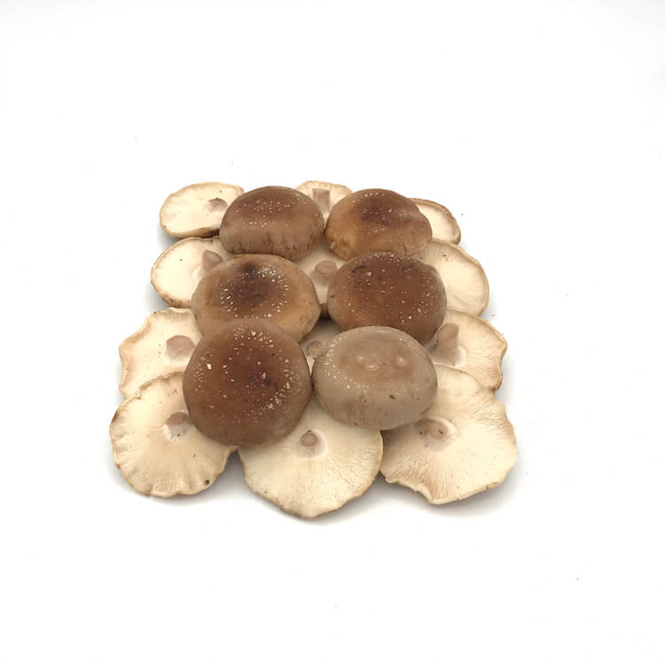 Comprar Seta Shiitake  online en Mercado 13