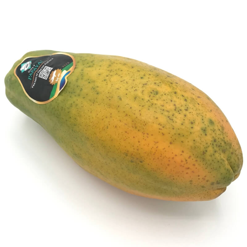 Comprar Papayón online en Mercado 13