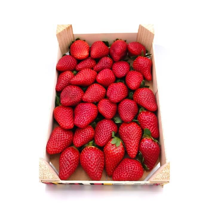 Comprar Fresón Extra online en Mercado 13