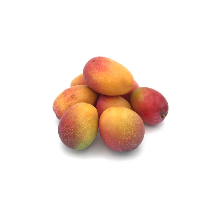 Mango Tropic