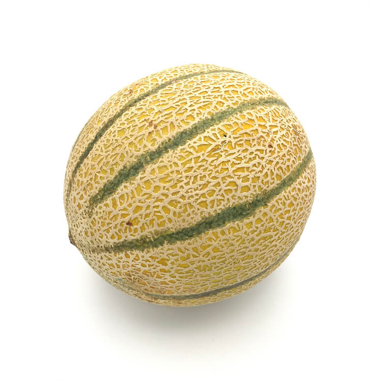 Melón Cantalup