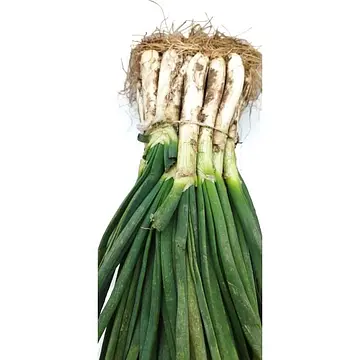 Comprar Calsots online en Mercado 13