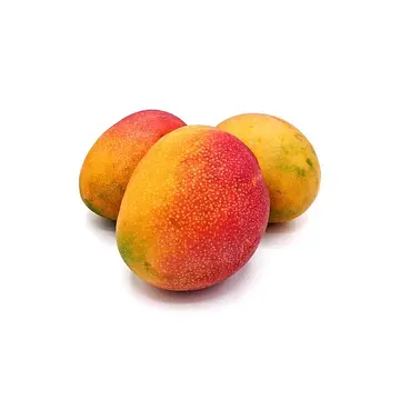 Comprar Mango Avión online en Mercado 13