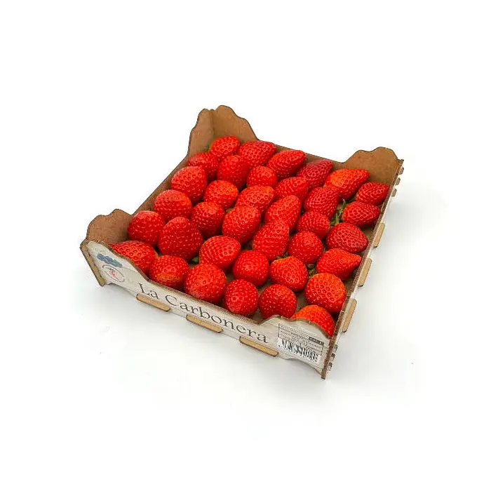 Comprar Fresas online en Mercado 13