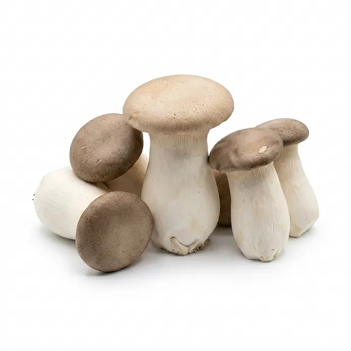Comprar Boletus Cultivado online en Mercado 13