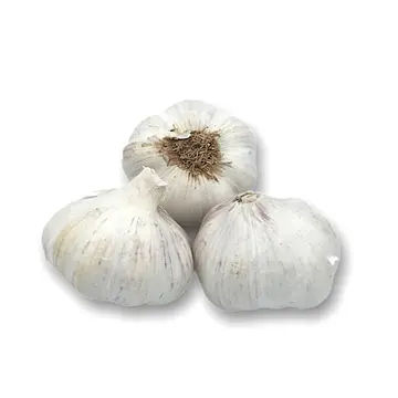 Comprar Ajos online en Mercado 13