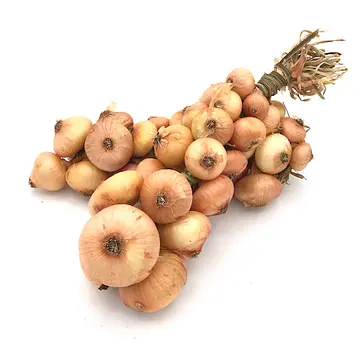 Comprar Cebolla Francesa online en Mercado 13