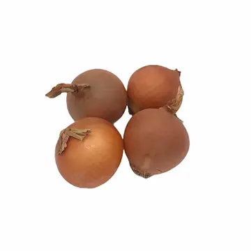 Comprar Cebolla Granel online en Mercado 13