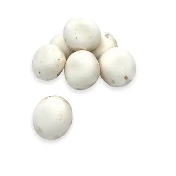 Comprar Champiñon Entero online en Mercado 13