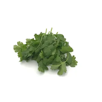Comprar Cilantro online en Mercado 13