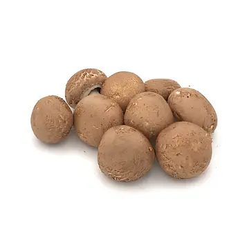 Comprar Champiñón Portobello online en Mercado 13