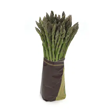 Comprar Espárrago Fino online en Mercado 13