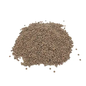 Comprar Lenteja Pardina online en Mercado 13