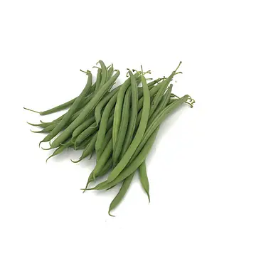 Comprar Judías Bobi Redonda online en Mercado 13