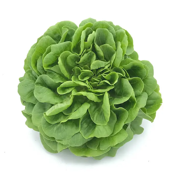 Comprar Lechuga Viva online en Mercado 13