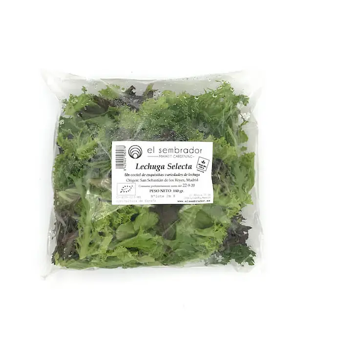 Comprar Lechuga Selecta Eco online en Mercado 13