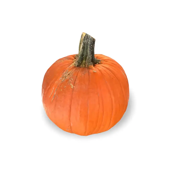 Comprar Calabaza Halloween online en Mercado 13