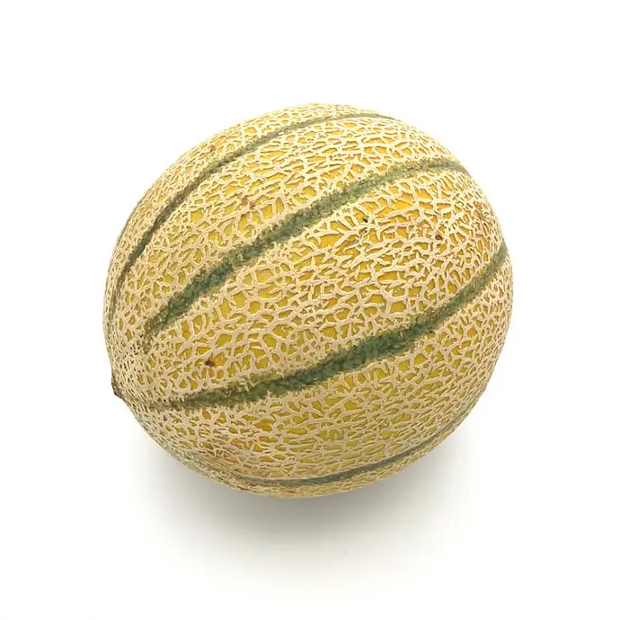 Comprar Melón Cantalup online en Mercado 13