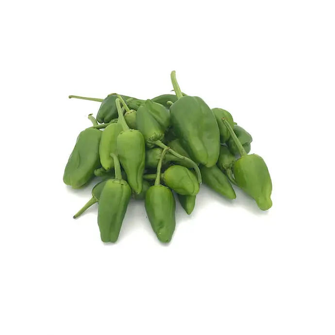 Comprar Pimiento de Padrón online en Mercado 13