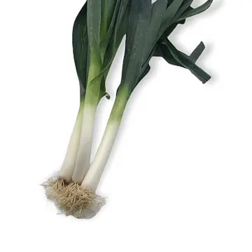 Comprar Puerro online en Mercado 13