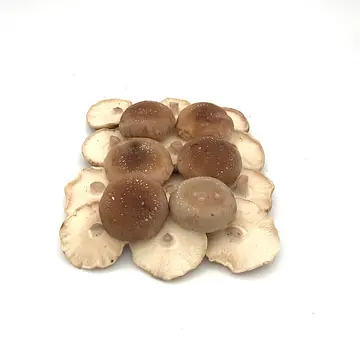 Comprar Seta Shiitake  online en Mercado 13