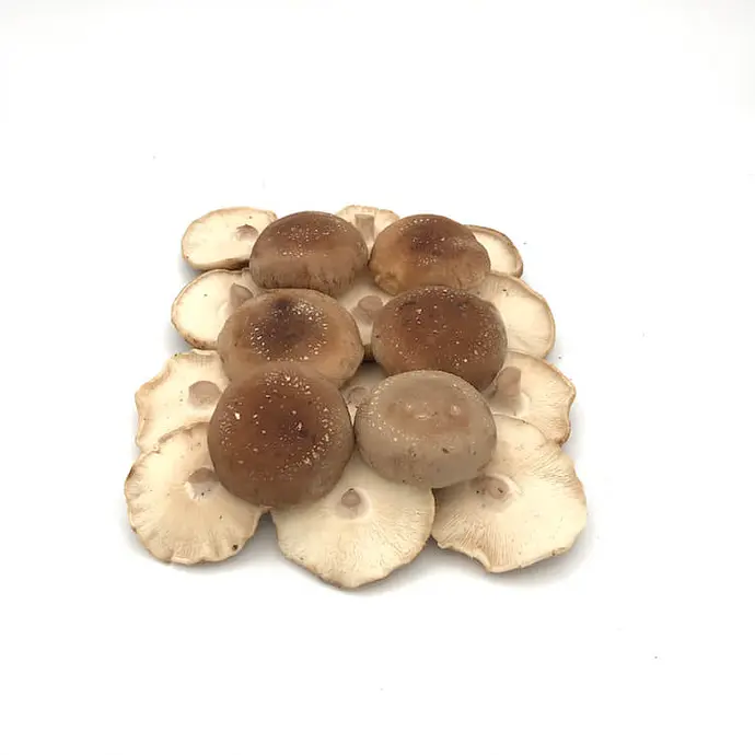 Comprar Seta Shiitake  online en Mercado 13