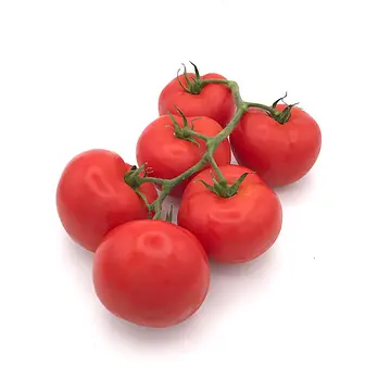 Comprar Tomate de rama online en Mercado 13