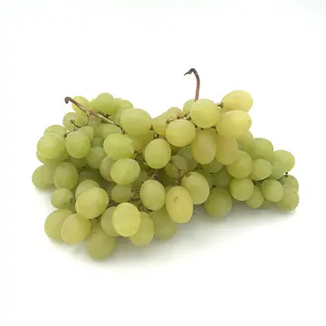 Comprar Uva Blanca Doña Maria online en Mercado 13
